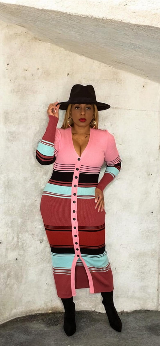 The Vanessa Striped Button Down Dress