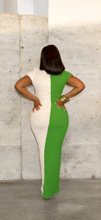 Caressa ColorBlock Dress